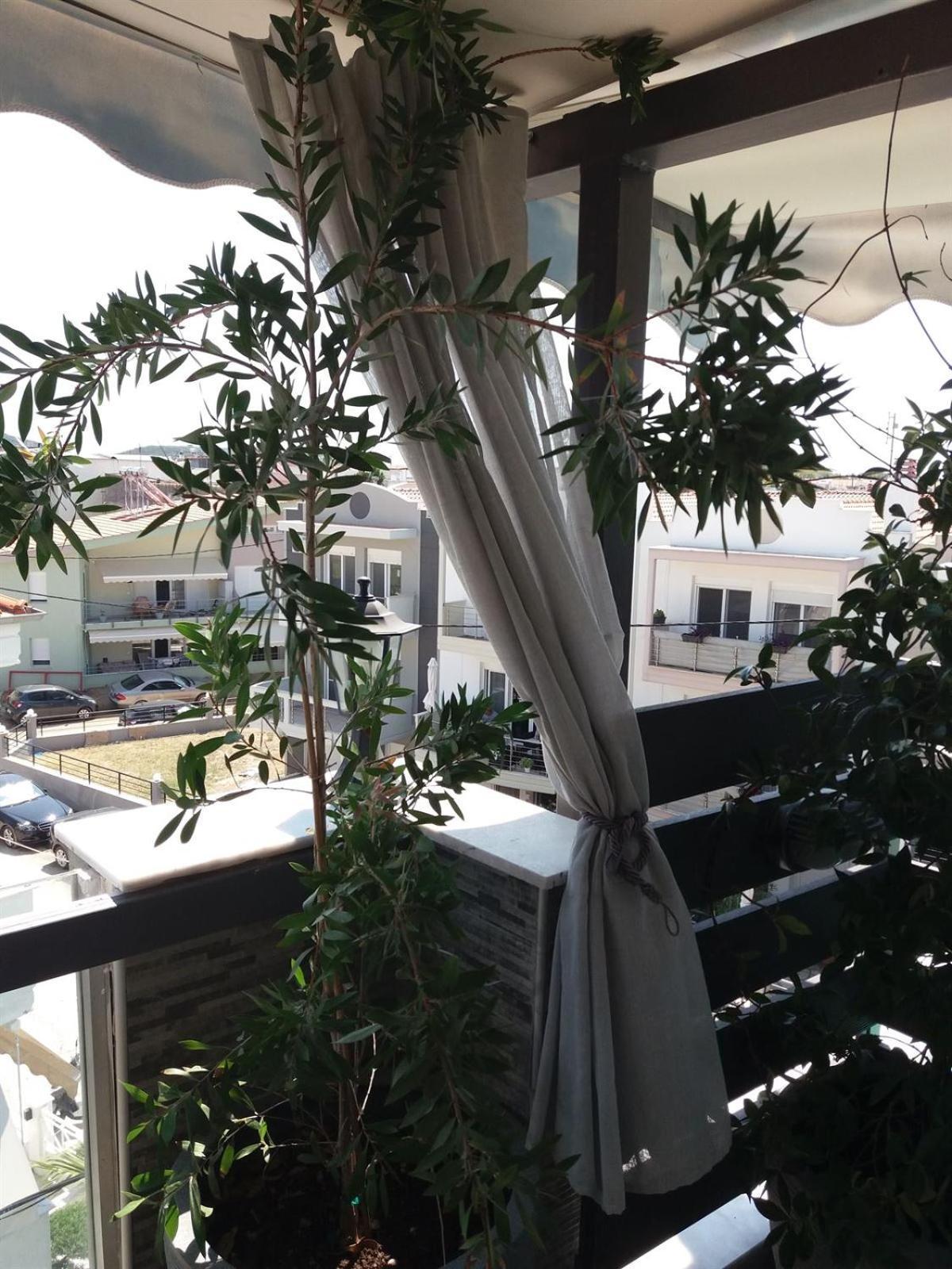 Green House Néa Péramos Eksteriør billede